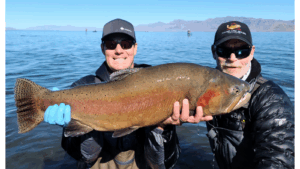 Read more about the article JOE CONTALDI – PYRAMID LAKE