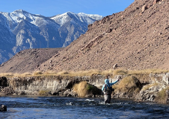 Read more about the article CHRIS LEONARD presentations in January 2026