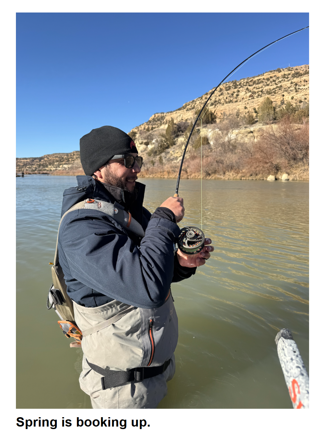 Read more about the article “About Trout” newsletter